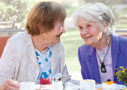 Refer a Friend