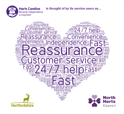 Survey word themes in purple love heart shape